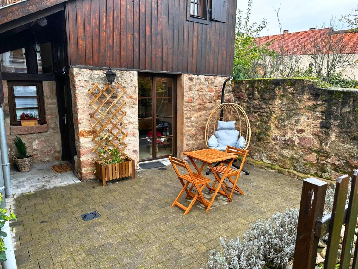 Le Petit Chataignier - Cozy Immo Châtenois Buitenkant foto