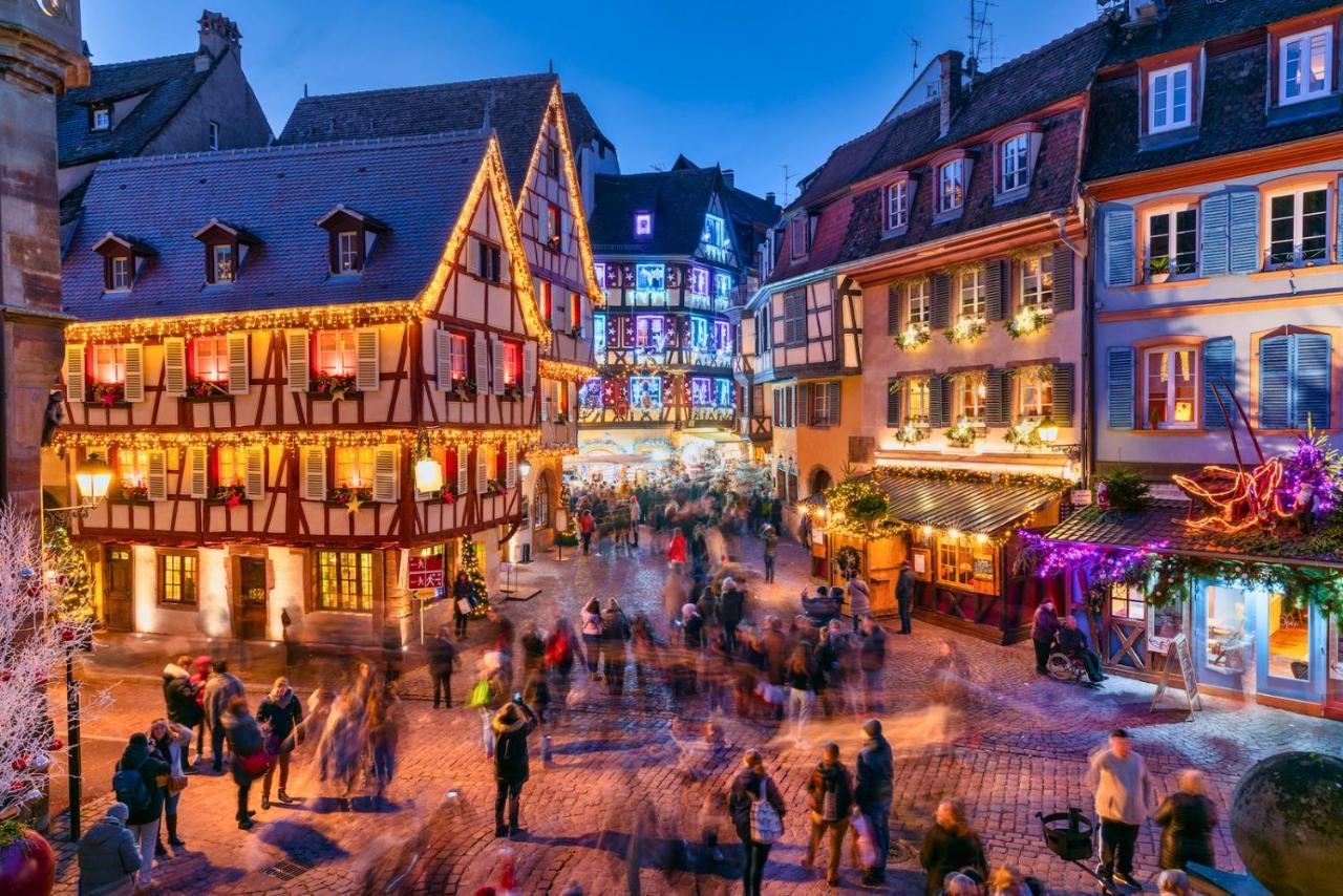 Le Petit Chataignier - Cozy Immo Châtenois Buitenkant foto