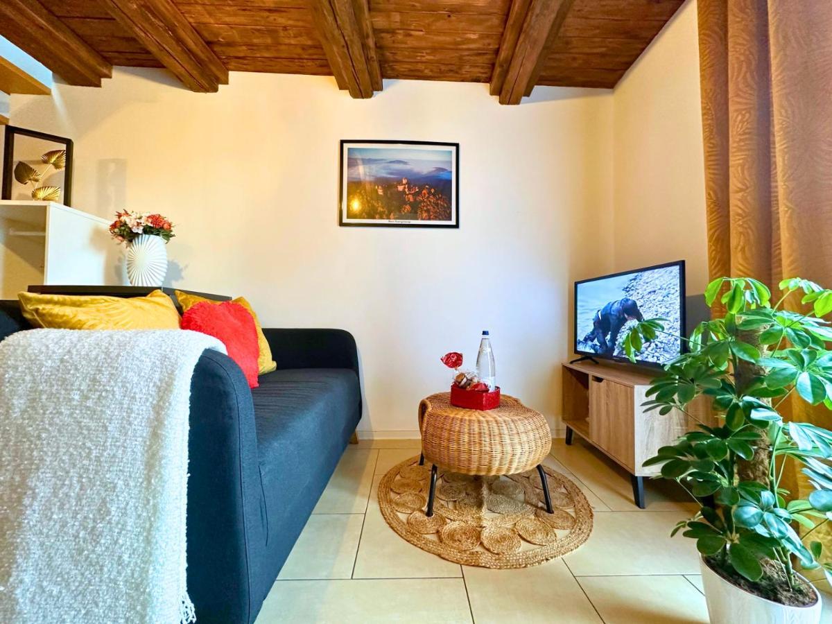 Le Petit Chataignier - Cozy Immo Châtenois Buitenkant foto