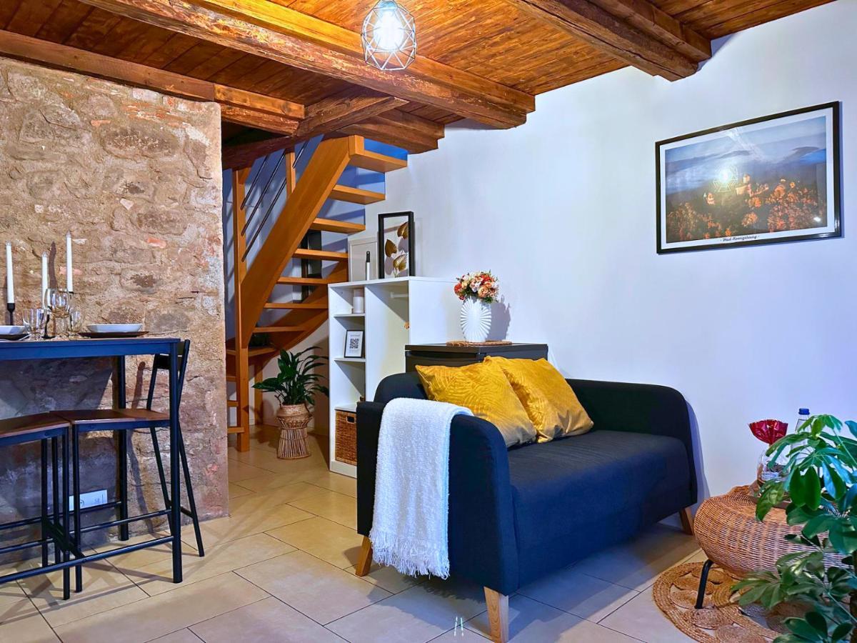 Le Petit Chataignier - Cozy Immo Châtenois Buitenkant foto