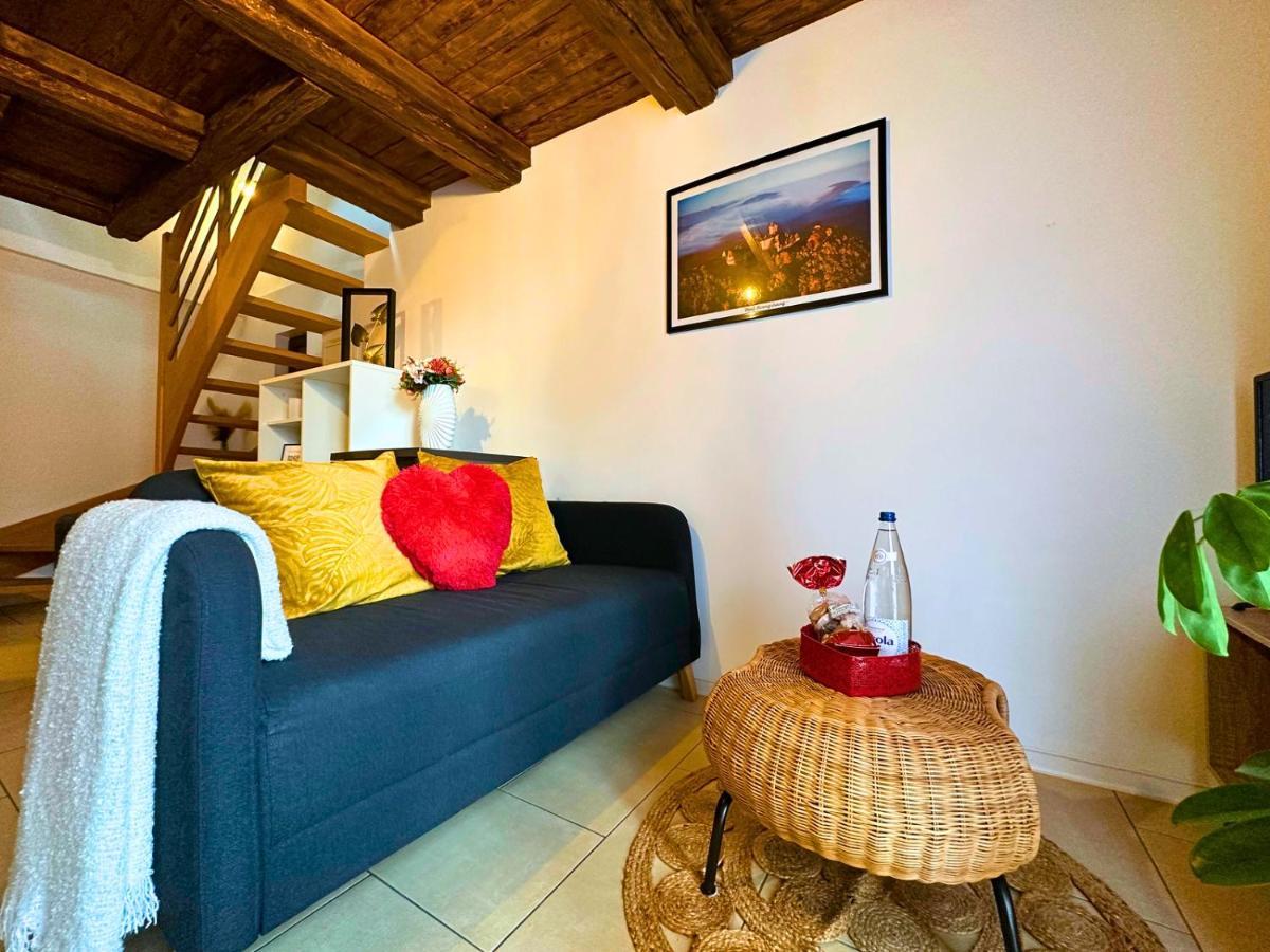 Le Petit Chataignier - Cozy Immo Châtenois Buitenkant foto