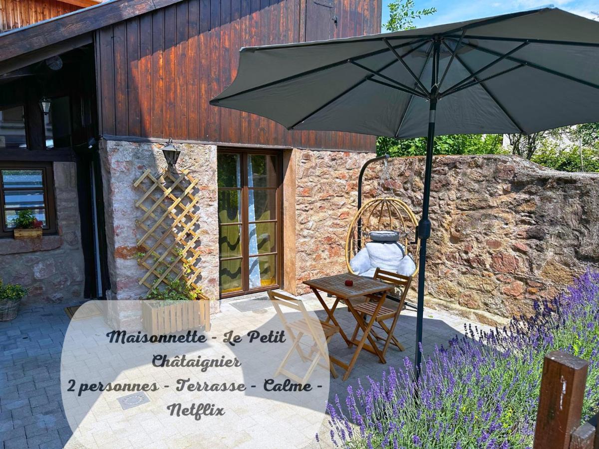 Le Petit Chataignier - Cozy Immo Châtenois Buitenkant foto
