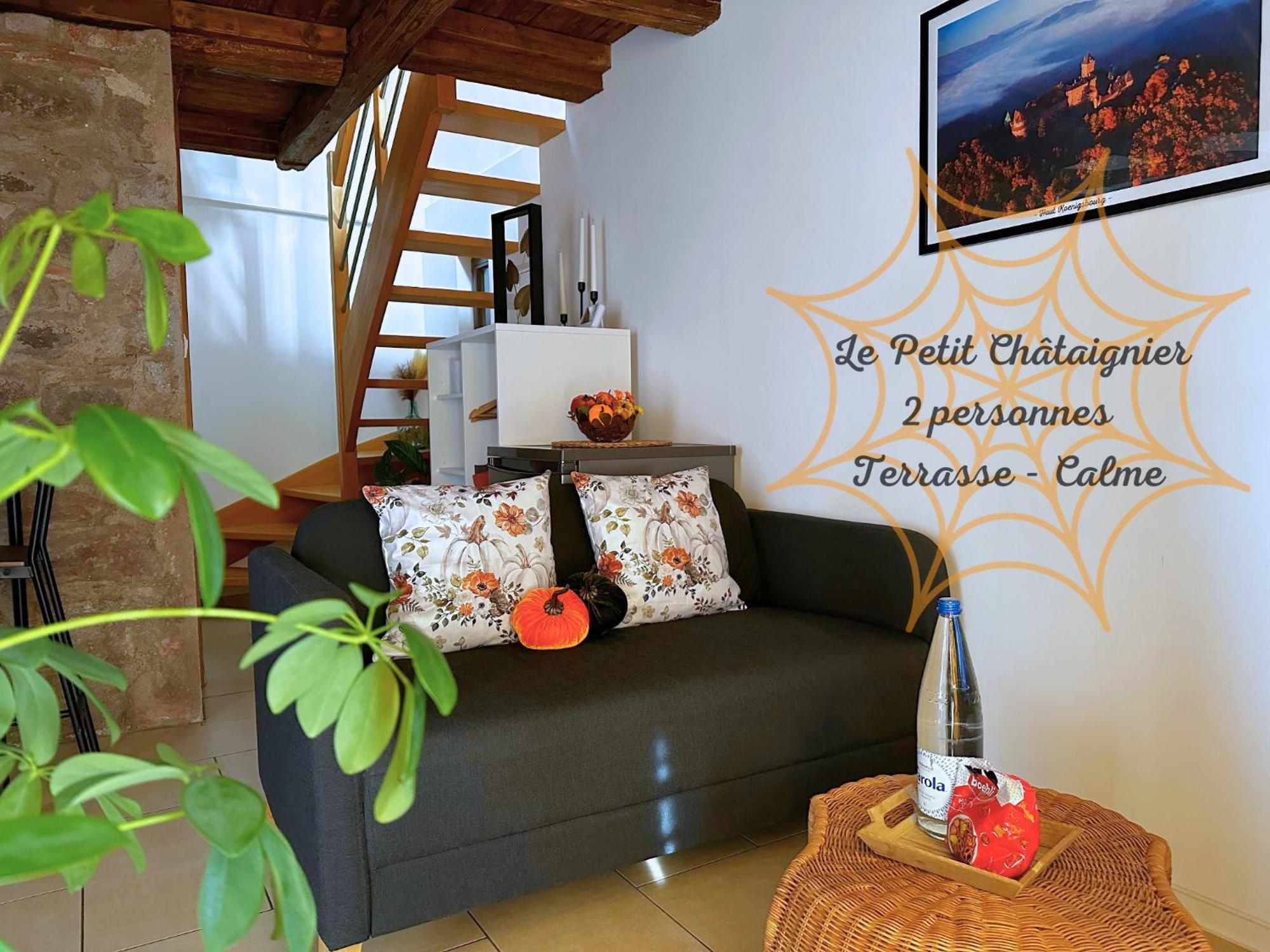Le Petit Chataignier - Cozy Immo Châtenois Buitenkant foto